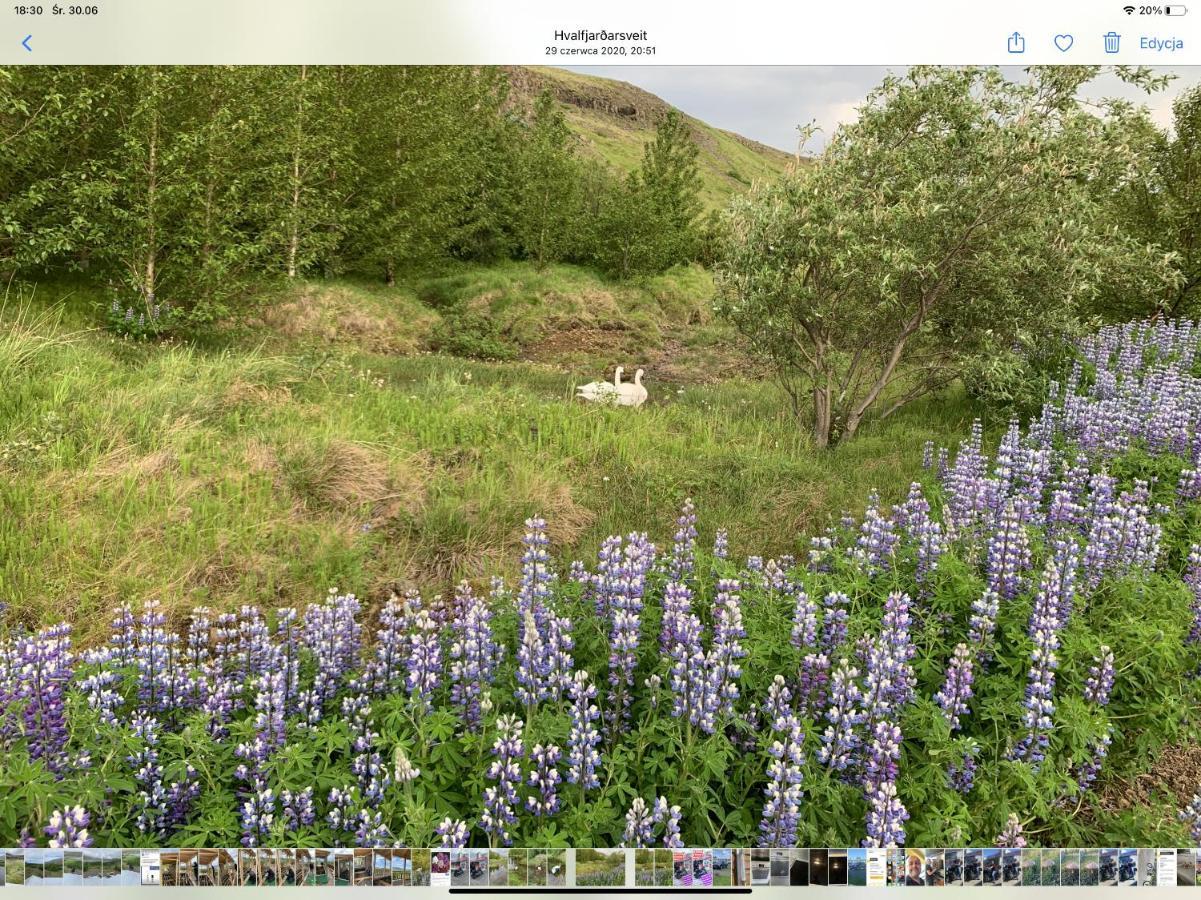 Icelandic Lake House Akranes Bagian luar foto